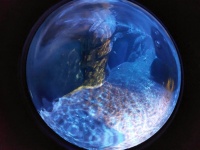 Earth Oceans Water Globe
