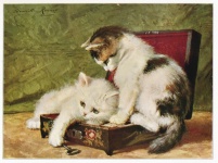 Cats Vintage Illustration Art