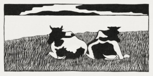 Cows Vintage Illustration Old