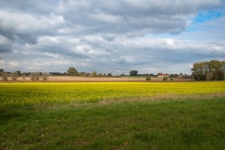 Landscape, Countryside, Rapeseed Field