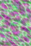 Laser Lights Background Colors