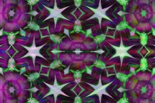 Mandala Background Pattern Green