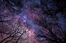 Milky Way Starry Sky