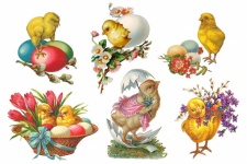 Easter Chick Vintage Art
