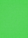 Paper Background Solid Green