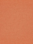 Paper Background Solid Orange