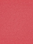 Paper Background Solid Red