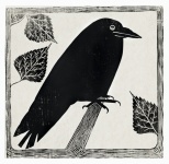Raven Crow Vintage Illustration