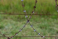 Razor Wire Loops Attached To Fence