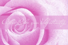 Rose Postcard Valentine&039;s Day