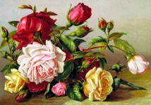 Roses Flowers Vintage Illustration