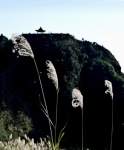 Taiwan Mountain Scenes 18