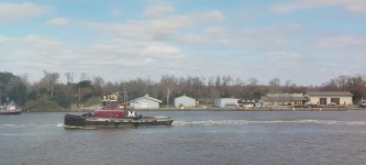 Tugboat On Savannah River