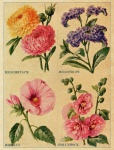 Vintage Flowers Collage Ephemera