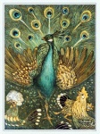 Vintage Illustration Of Peacock Chicken