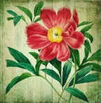 Vintage Art Flowers Painting