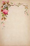 Vintage Frame Rose Background
