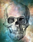 Vintage Skull Head Illustration