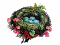 Bird Nest Eggs Flowers Vintage