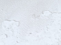 White Winter Texture
