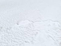 White Winter Texture