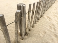 Wooden Fence On A Beach