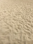 Yellow Beach Sand Background