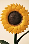 Yellow Wood Sunflower Close-up