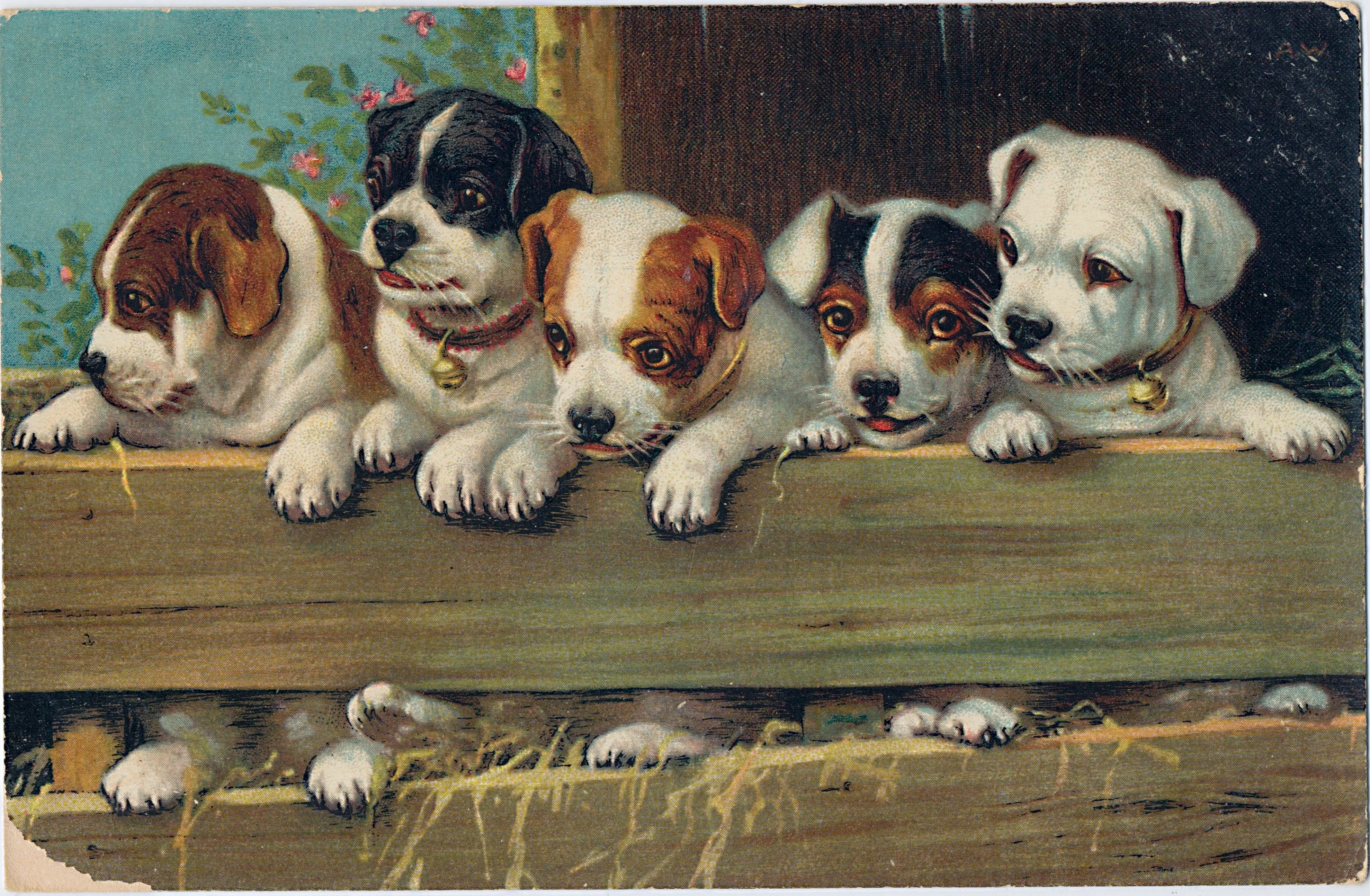 Dogs Puppies Vintage Art