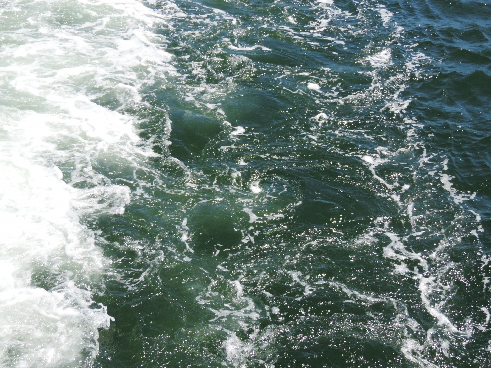 Waves from a boat