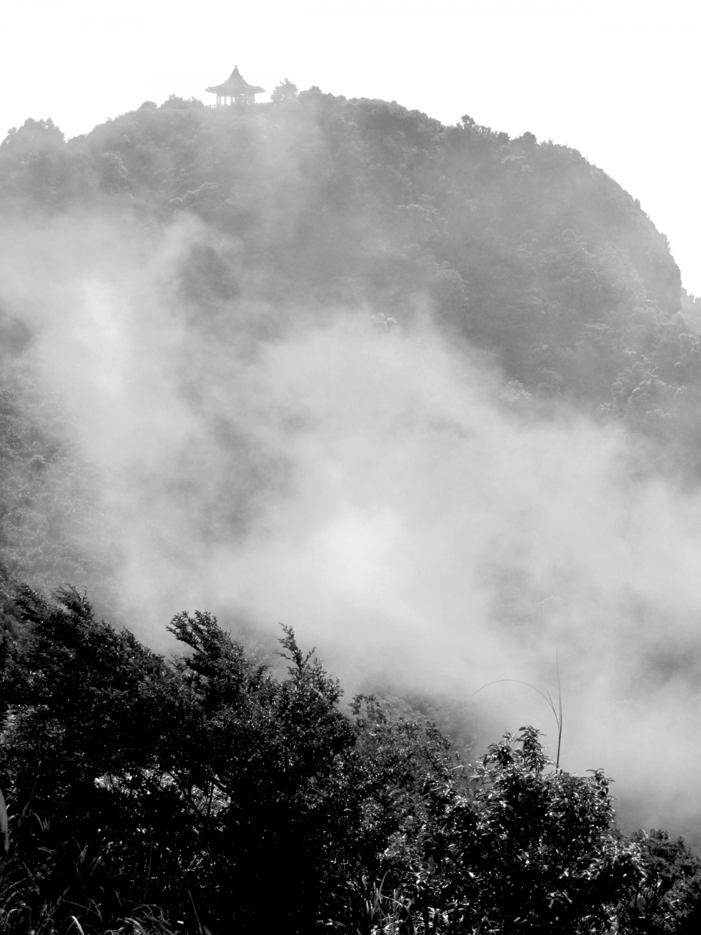 Taiwan Mountain Scenes 20