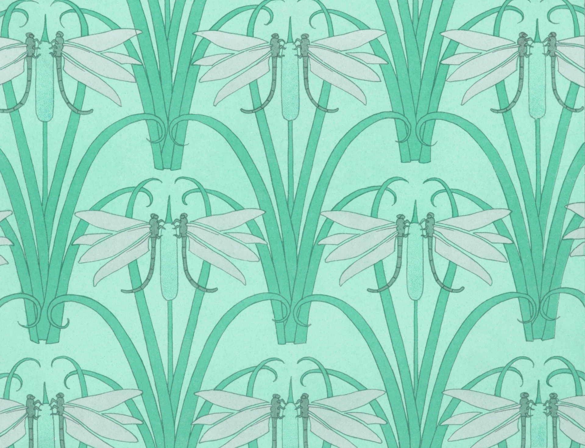 Vintage Background Dragonflies Reeds