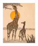 Africa Giraffe Landscape Vintage