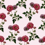 Anemone Flowers Floral Wallpaper