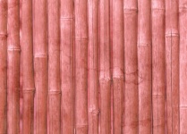 Bamboo Background Nature Texture