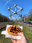 Belgian Waffle At The Atomium