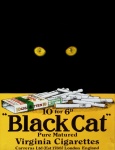 Black Cat Ad Poster