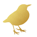 Blackbird Golden Clipart