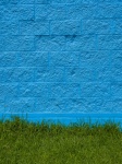 Blue Wall And Grass