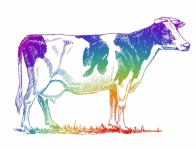 Clipart Cow Beef Illustration