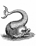 Clipart Sea Monster Fantasy Vintage