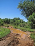 Dirt Road With Muddy Rainwater