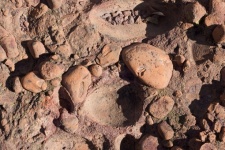 Dislodged Pebble On Conglomerate