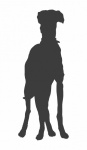 Dog Greyhound Silhouette Clipart