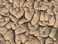 Dry Mud Background