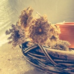 Dry Plants In A Basket Decoration