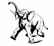 Elephant Illustration Clipart