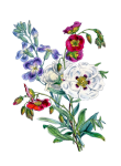 Floral Bouquet Vintage Clipart