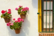 Flowerpots Hanging On The Wall