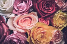 Flowers, Texture, Roses, Bouquet,
